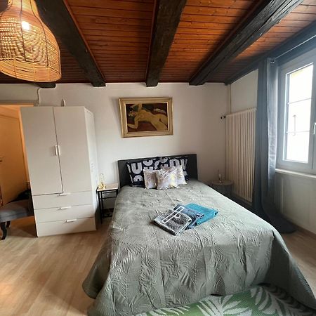 Meunier Tu Dors ! Au Pied Du Moulin Apartment Порентруи Екстериор снимка